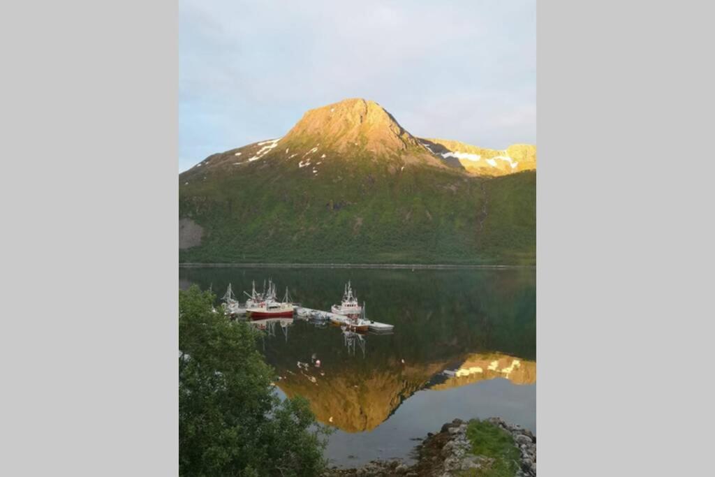 TorskenWaterfront Senja 3公寓 外观 照片