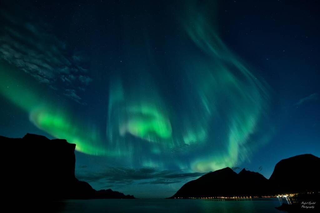 TorskenWaterfront Senja 3公寓 外观 照片