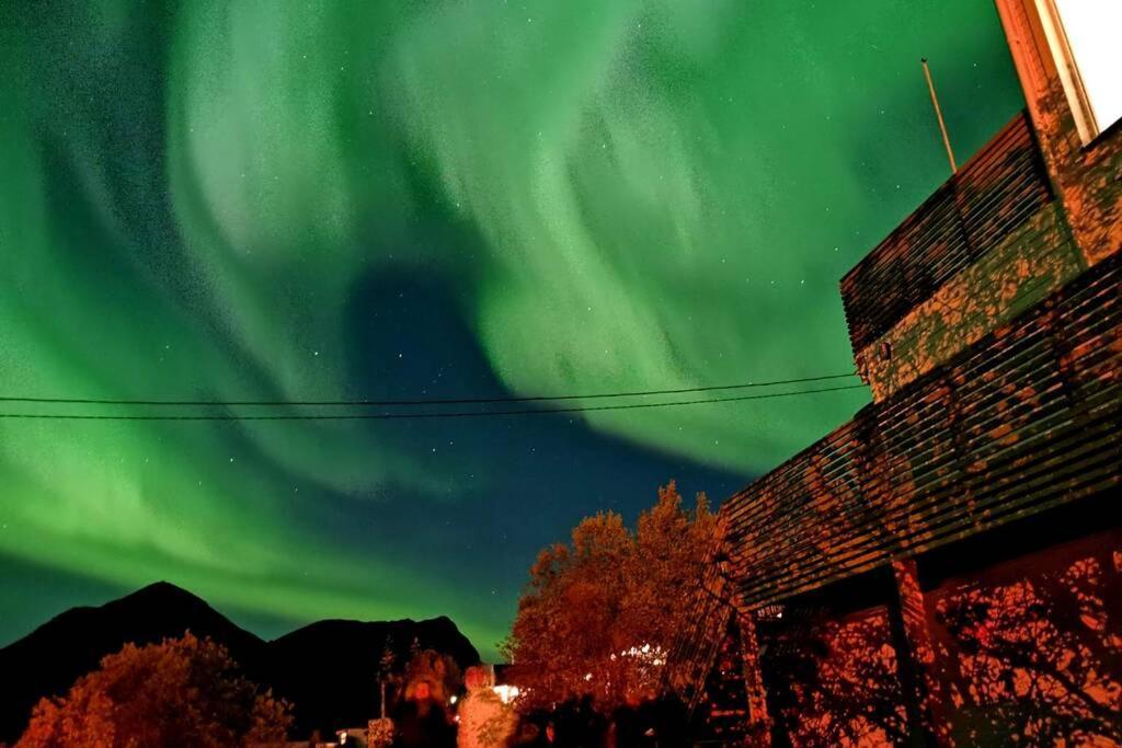TorskenWaterfront Senja 3公寓 外观 照片