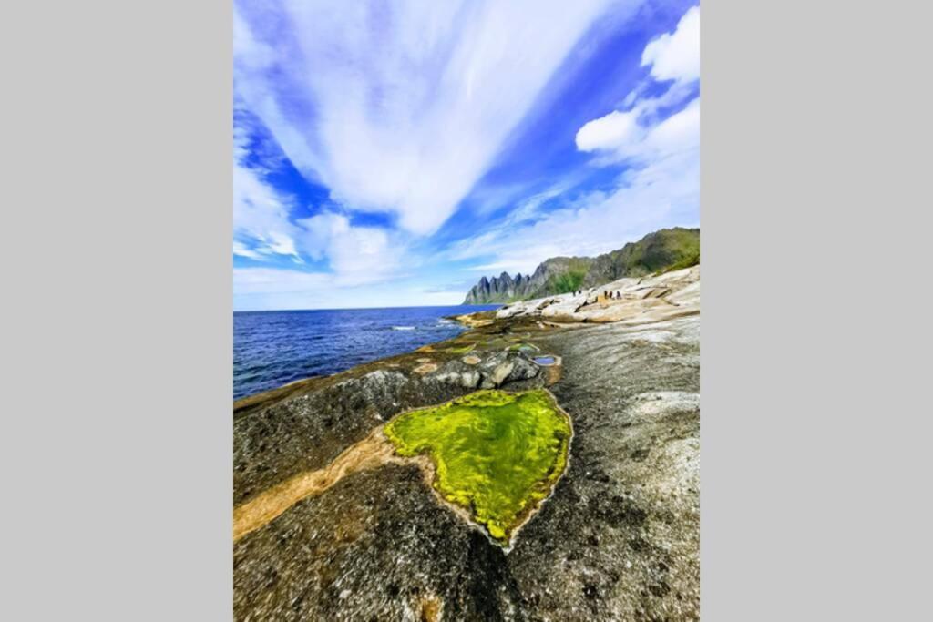 TorskenWaterfront Senja 3公寓 外观 照片