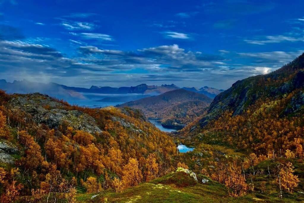 TorskenWaterfront Senja 3公寓 外观 照片
