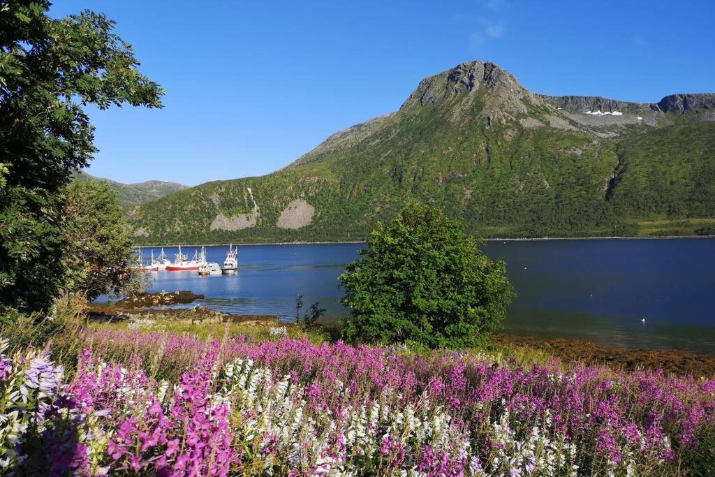 TorskenWaterfront Senja 3公寓 外观 照片