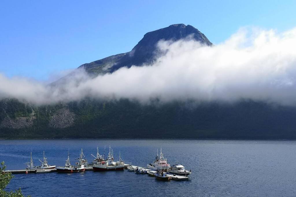 TorskenWaterfront Senja 3公寓 外观 照片