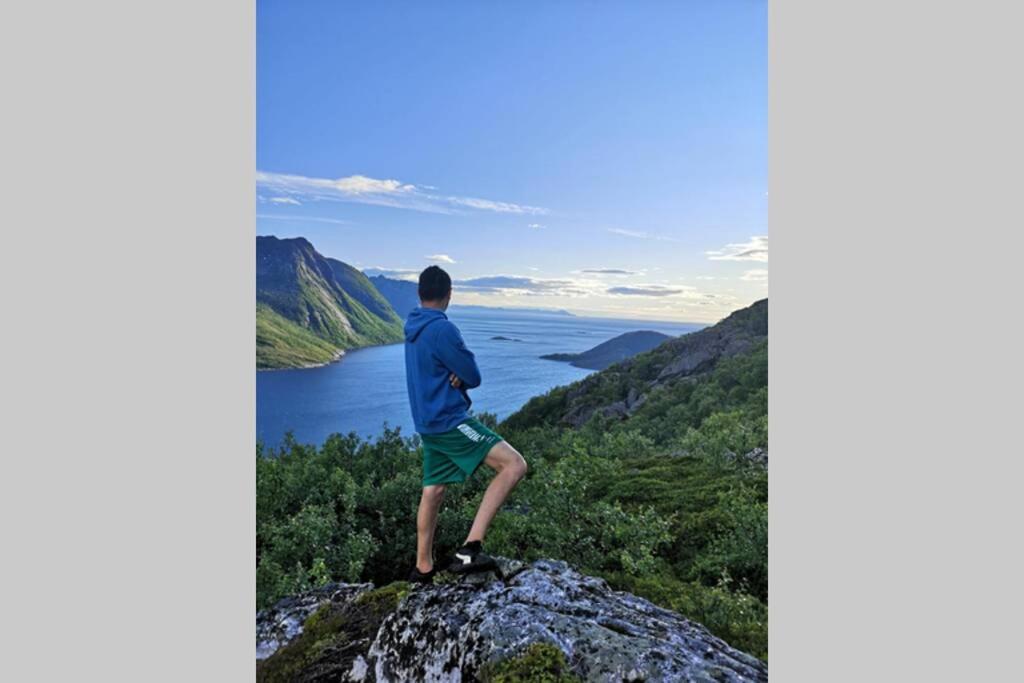TorskenWaterfront Senja 3公寓 外观 照片